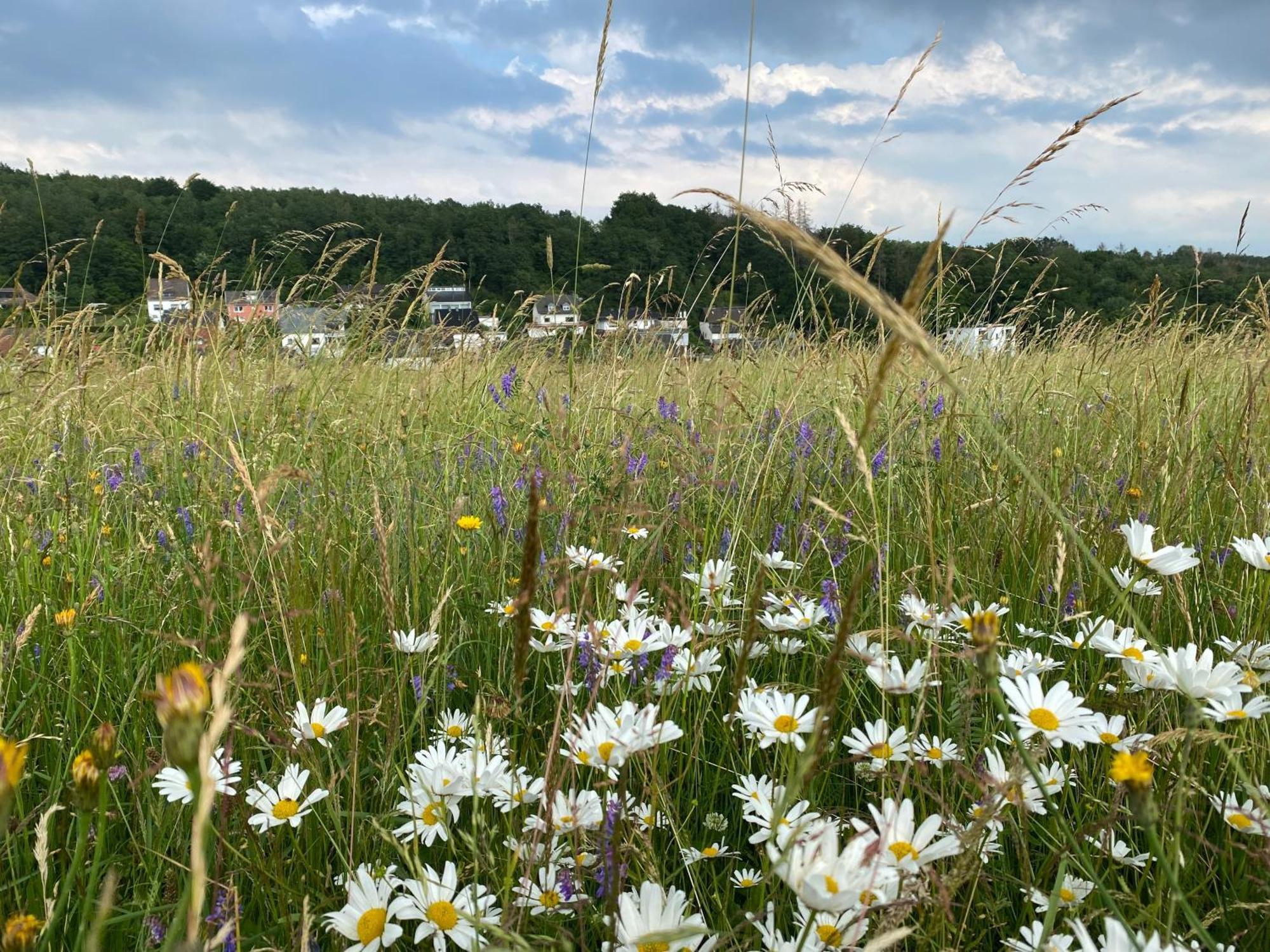 Apartmán Bi Abbas Jong Freudenberg  Exteriér fotografie